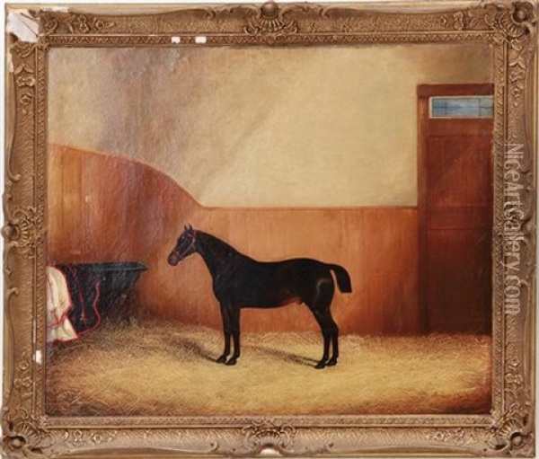 Horse In Stall Oil Painting - James Clark