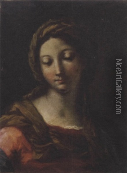 Madonna Oil Painting - Giuseppe Maria Crespi
