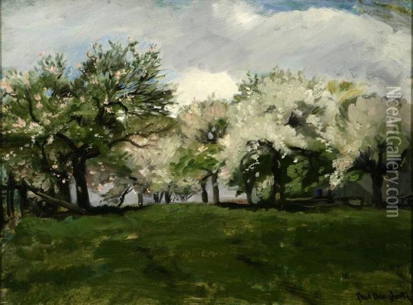 Flowering Fruit Trees Oil Painting - Paul Dougherty