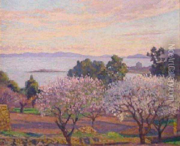 Flowering Trees, Southern France Oil Painting - Theo van Rysselberghe