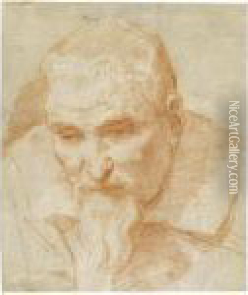 Portrait Of A Bearded Man, Looking Downwards Oil Painting - Guido Reni