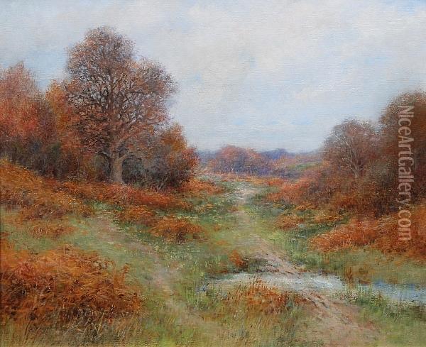 An Autumn Woodland Path Oil Painting - Harry Foster Newey
