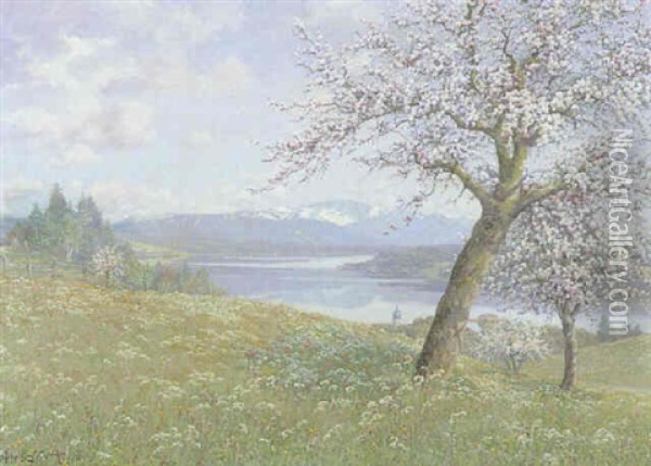 Starnberger See Bei Tutzing Oil Painting - Philipp Graf