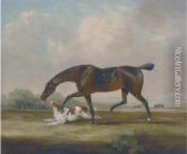 A Racehorse With A Spaniel Oil Painting - Samuel Jun Alken