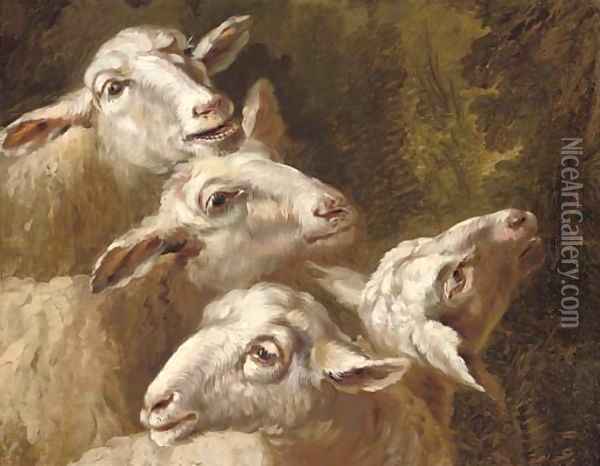 Studies of sheep Oil Painting - French School