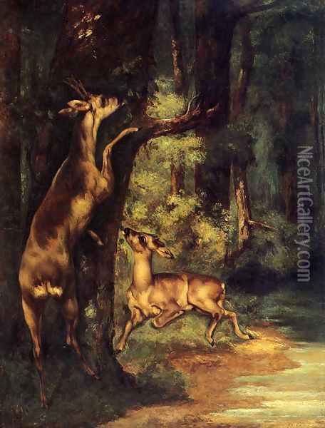 Male and Female Deer in the Woods Oil Painting - Gustave Courbet