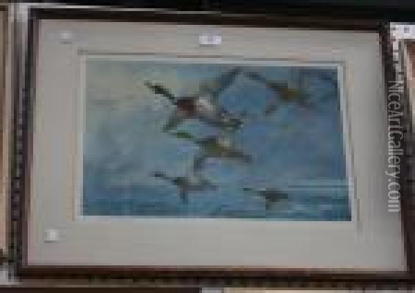 Mallards In Flight Oil Painting - Archibald Thorburn