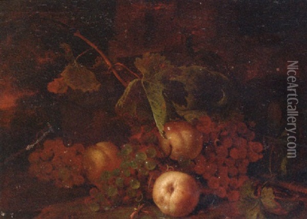 Grapes, Peaches With Leaves On A Bank Oil Painting - Tommaso Salini