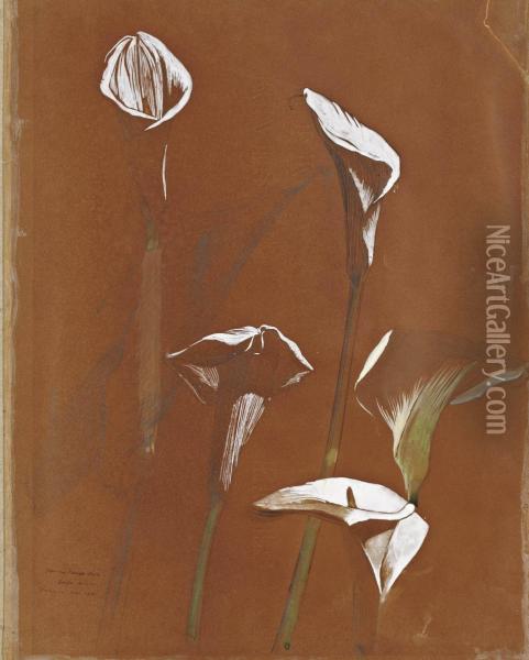 Les Arums Oil Painting - Georges-Victor Hugo