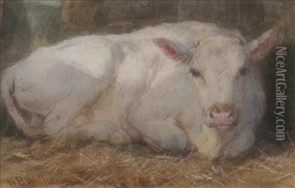 Study-white Calf Oil Painting - Henry Brittan Willis