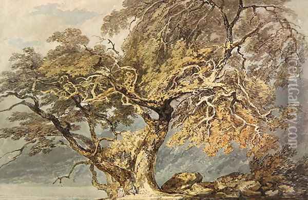 A Great Tree, c.1796 Oil Painting - Joseph Mallord William Turner