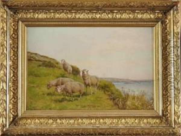 Mouton Dans La Prairie Oil Painting - William Baptiste Baird