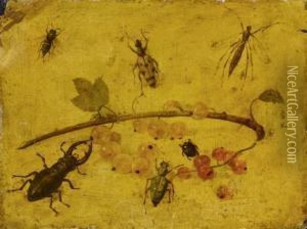 Study Of A Stag Beetle And Other Small Insects Around Red And White Berries Oil Painting - Jan van Kessel