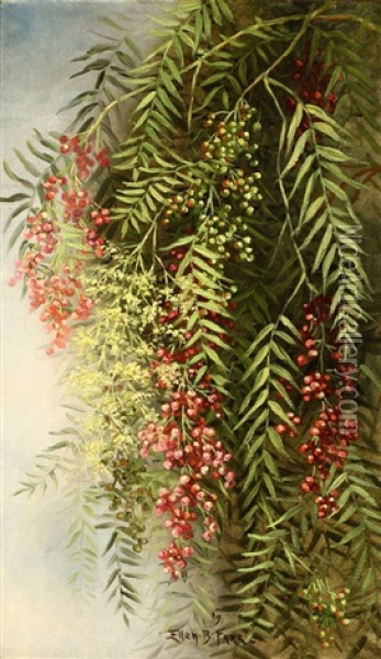 Pepper Tree Still Life Oil Painting - Ellen Francis Burpee Farr