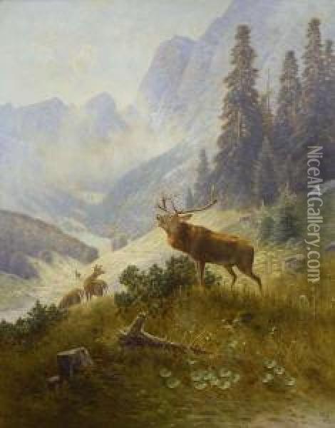 Rohrender Hirsch. Oil Painting - Ludwig Sckell
