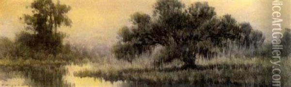 Louisiana Swamp Oil Painting - Alexander John Drysdale