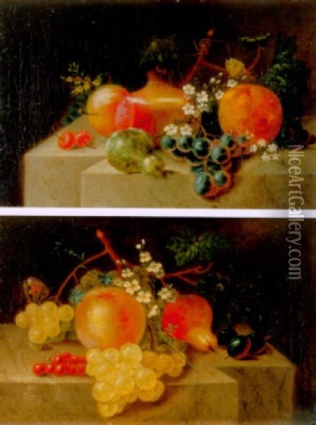 Stilleben Mit Fruchten, Blumen Und Schmetterling Oil Painting - Catharina Treu