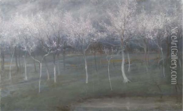 An Orchard Oil Painting - Constant Montald