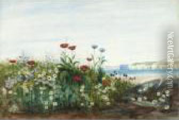 A Bank Of Wild Flowers With The North Antrim Coast Beyond Oil Painting - Andrew Nicholl