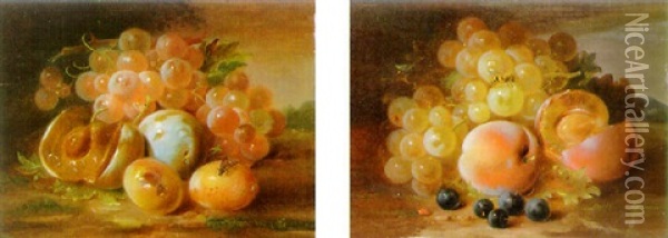 Grapes And Plums Oil Painting - George Forster