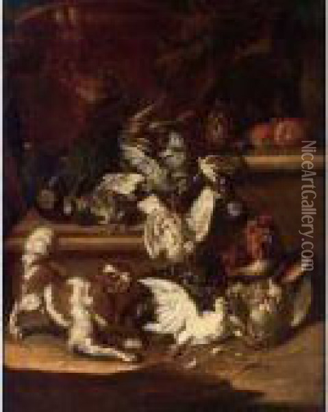 A Dog And Cat Chasing Pigeons, A Partridge And Poultry On A Stone Ledge Oil Painting - Christoffel Puytlinck
