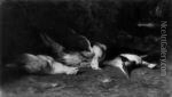 Das Ende. Leblose Seevogel In 
Einer Grotte. Signiert Und Datiert Unten Rechts: Jan Van Essen 1906. Ol 
Auf Leinwand. H 71; B 123 Cm. Oil Painting - Jan van Hemessen