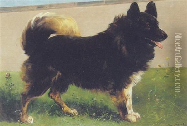 A Dog In A Garden Oil Painting - Henry Schouten