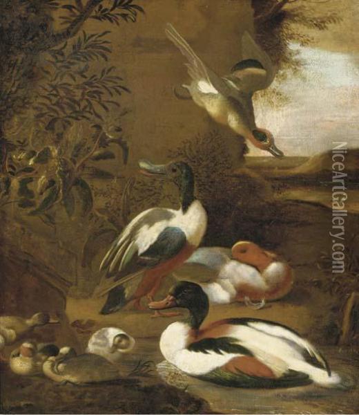 Ducks And Ducklings In A Hilly Landscape Oil Painting - Melchior de Hondecoeter