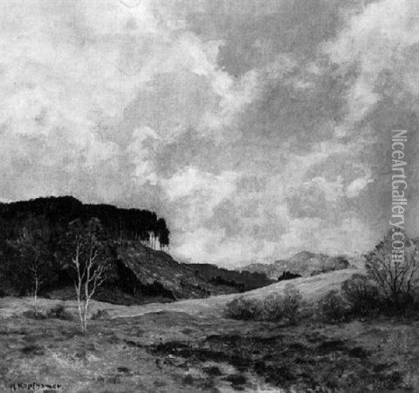 Einsame Hugelige Landschaft Mit Gerodeter Hangpartie Oil Painting - Adolf Kapfhammer