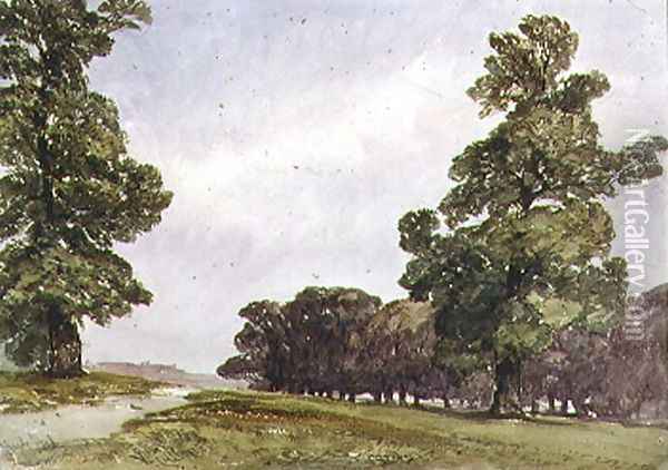 View in Hyde Park Oil Painting - William Callow