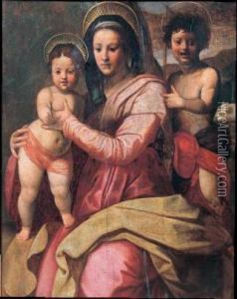 Madonna Con Bambino E San Giovannino Oil Painting - Andrea Del Sarto