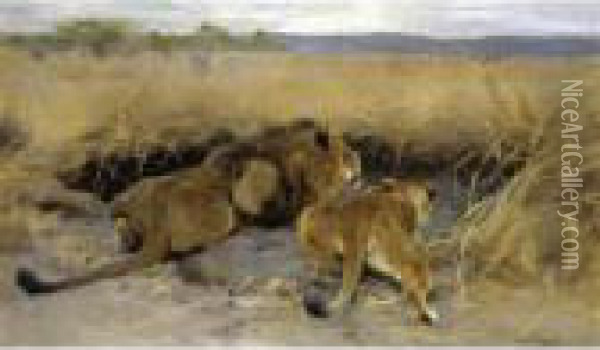 Beute In Sicht (prey In Sight) Oil Painting - Wilhelm Kuhnert