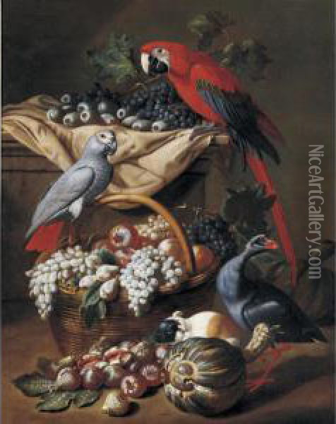 Still Life With Two Parrots, A Guinea Pig, A Basket Of Fruit And Fowl Oil Painting - Jacob van der (Giacomo da Castello) Kerckhoven