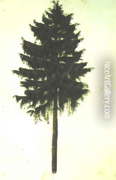 Pine Tree Oil Painting - Albrecht Durer