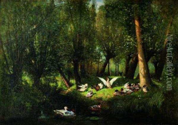 Canard Dans Un Bois Oil Painting - Albert F. Laurens