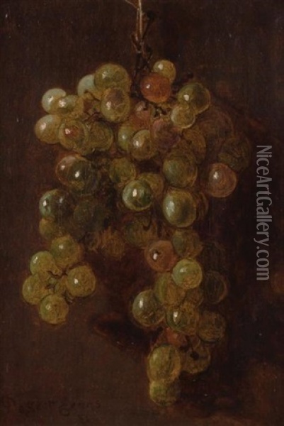 Still Life With Grapes Oil Painting - De Scott Evans