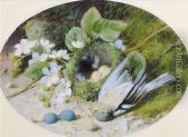 Bird With Flowers And Eggs Oil Painting - William Cruickshank