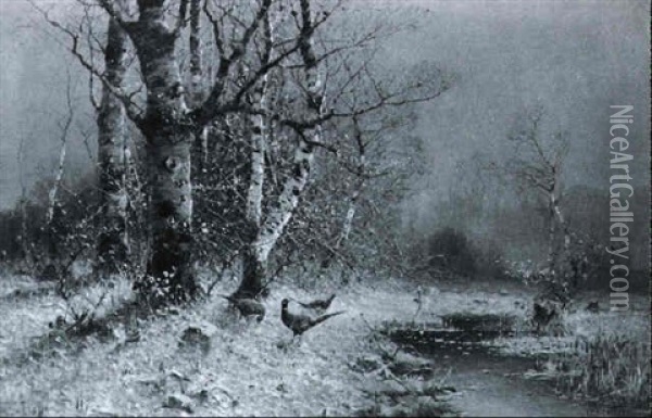 Fasane Im Herbstlichen Birkenwald Oil Painting - Otto Fedder
