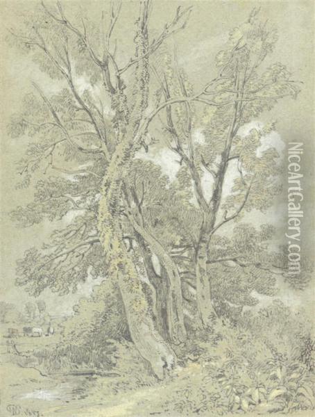 The River Bank, Sandhurst Oil Painting - William Alfred Delamotte