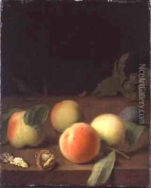 Fruit Still Life Oil Painting - Balthasar Denner