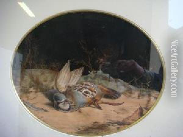 L'oiseau Gravure En Relief Oil Painting - Edouard Travies