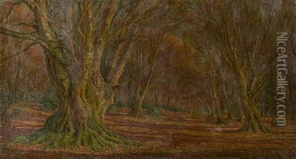 Woodland Glade Oil Painting - Frederik Golden Short