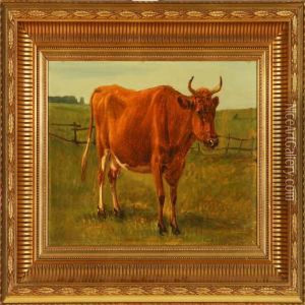 Cow On A Field Oil Painting - Andreas Peter Madsen