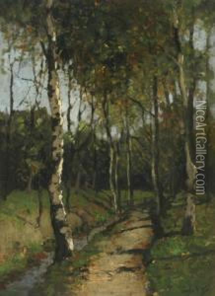 Birches By A Brook Oil Painting - Cornelis Kuypers