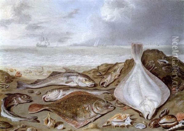 Nature Morte De Poissons Au Bord D'un Rivage Oil Painting - Jan van Kessel the Elder