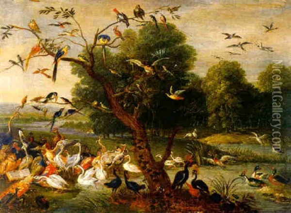 Vogelkonzert Oil Painting - Jan van Kessel the Elder