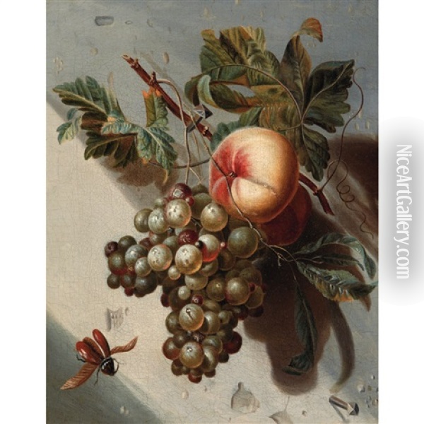 Still Life With Grapes And Peachers Oil Painting - Willem Grasdorp