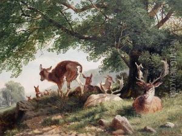Deer In A Park Oil Painting - Richard Beavis