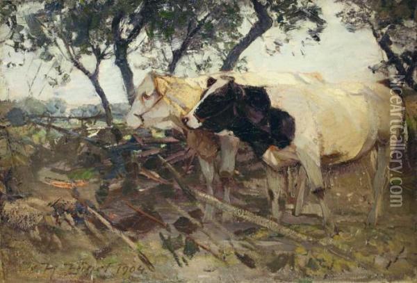 Zwei Kuhe Auf Der Weide. Oil Painting - Heinrich Johann Von Zugel