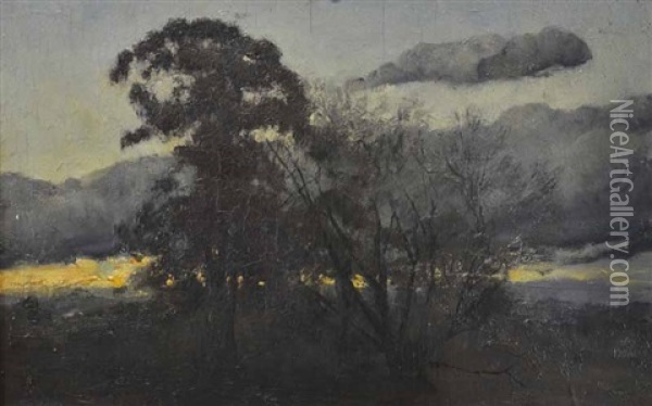 Nocturnal Landscape Oil Painting - Tom Robertson